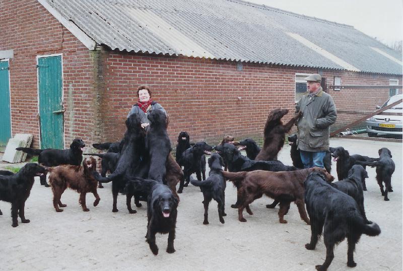 Onze binnenplaats.jpg